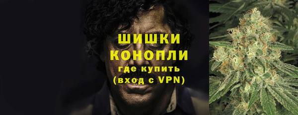 дмт Бронницы