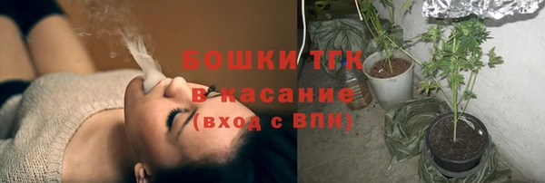 соль ск Бородино