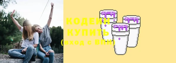 соль ск Бородино
