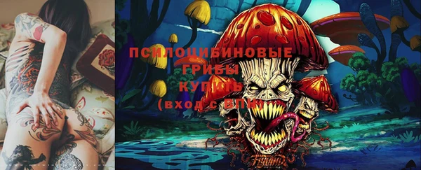 соль ск Бородино