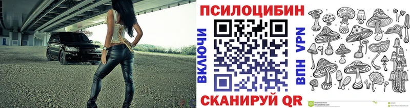 Галлюциногенные грибы Magic Shrooms  Купить закладки  Мышкин 